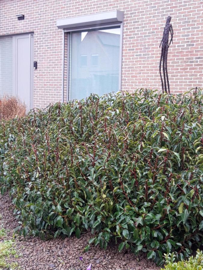 B&B Bergdal Gits Luaran gambar
